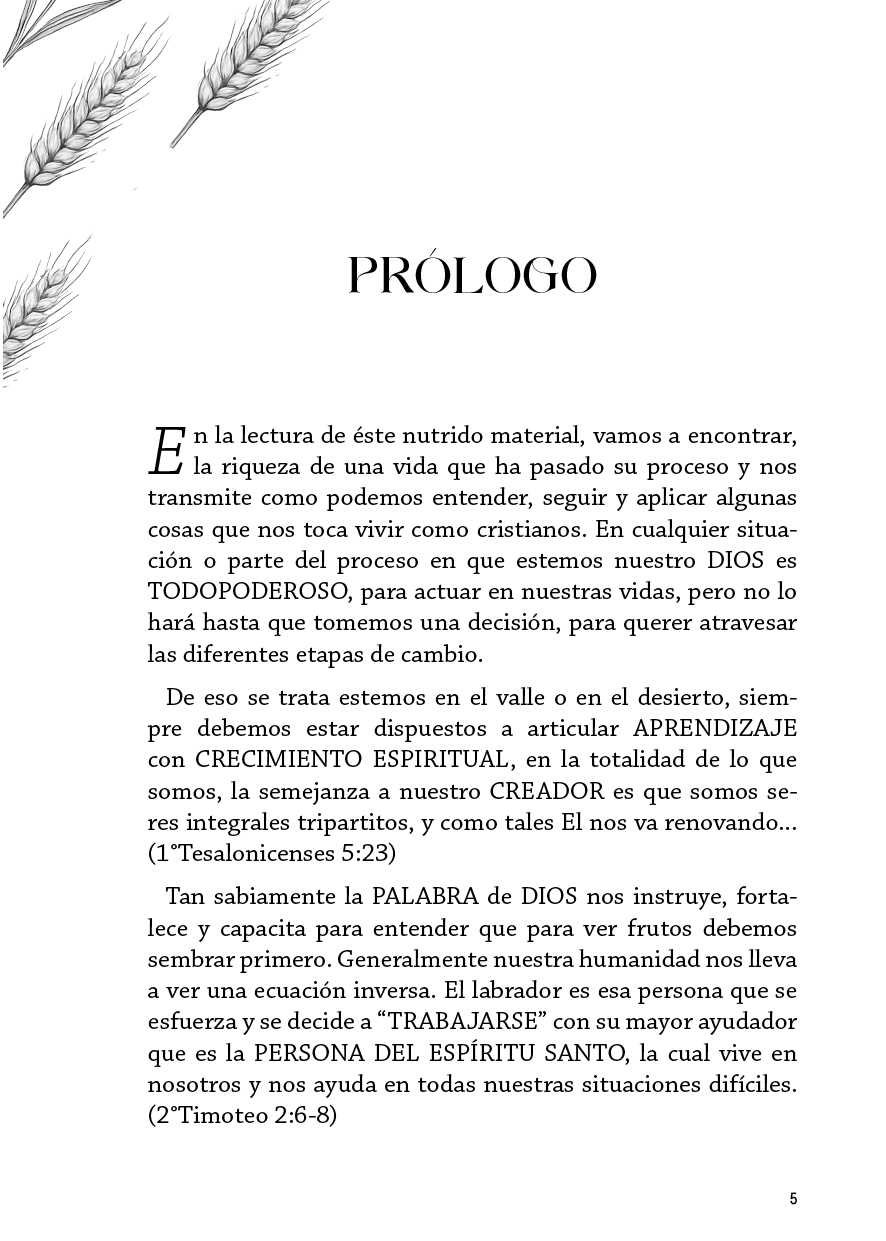 Tiempo de cosecha - Image 5