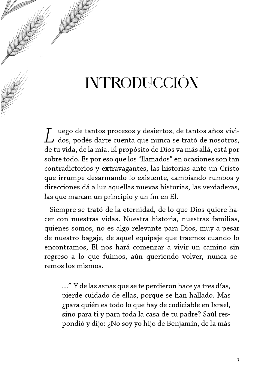 Tiempo de cosecha - Image 6